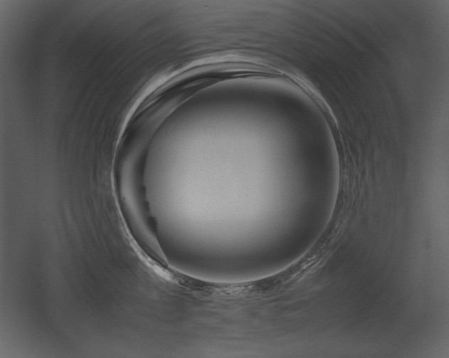 X0000053010813200507081258