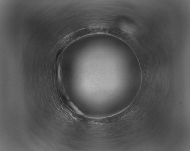 X0000053010821200507081257