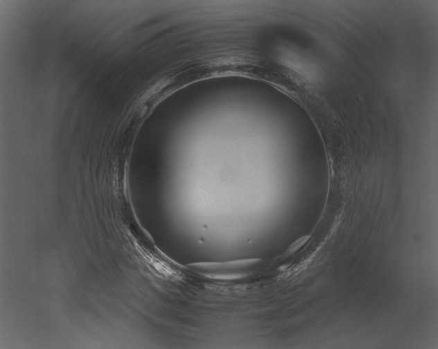 X0000053010825200507081257