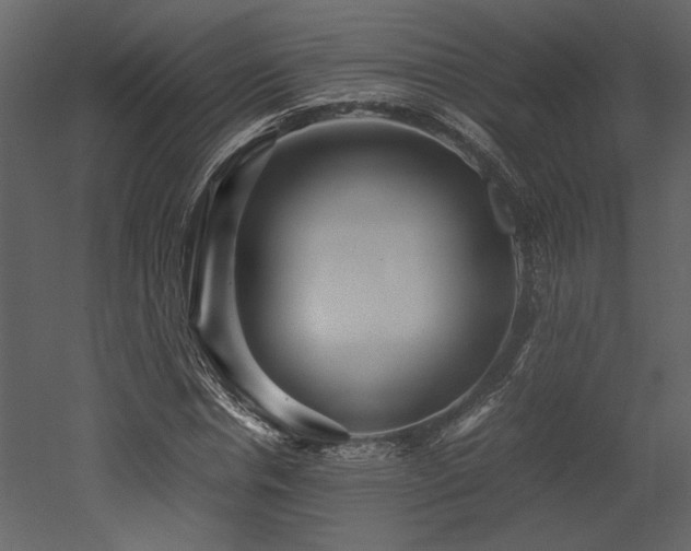 X0000053010826200507081257