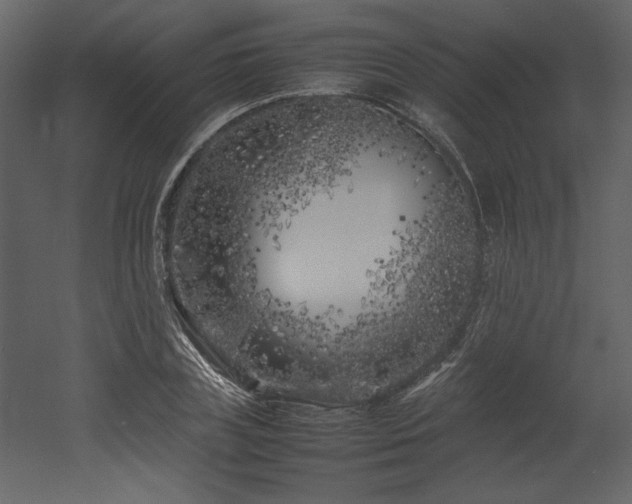 X0000053010835200507081257