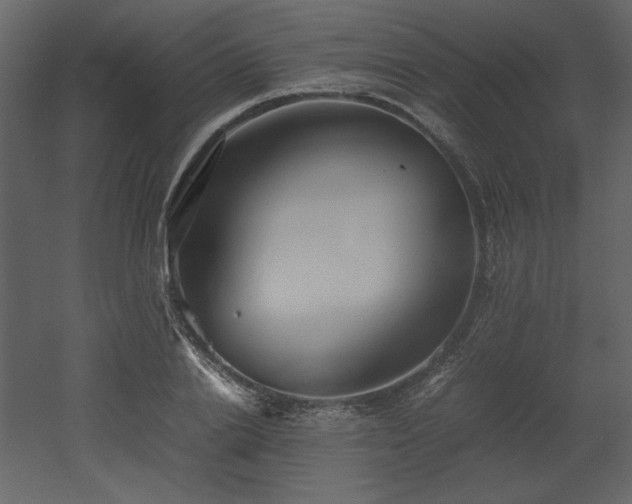 X0000053010838200507081257
