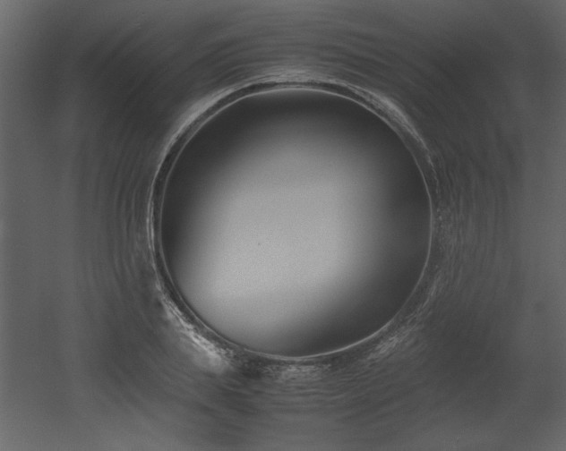 X0000053010839200507081257