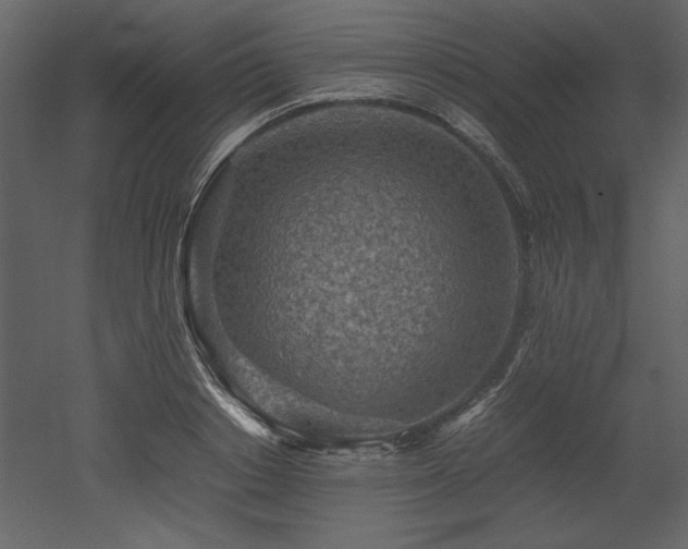 X0000053010842200507081257
