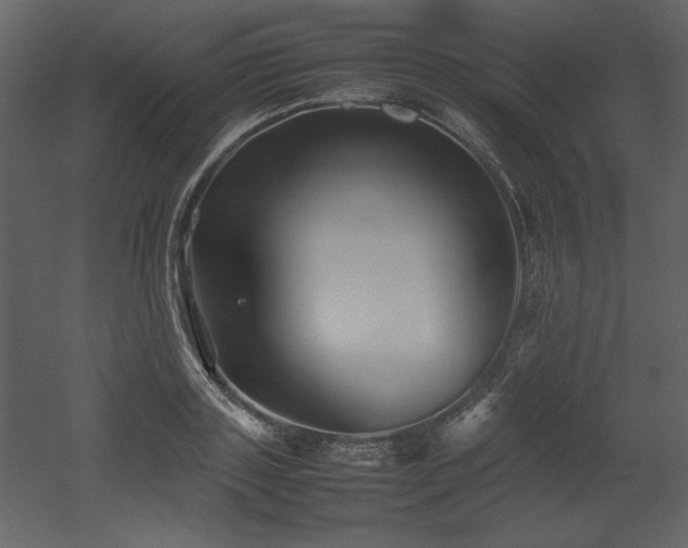 X0000053010843200507081257