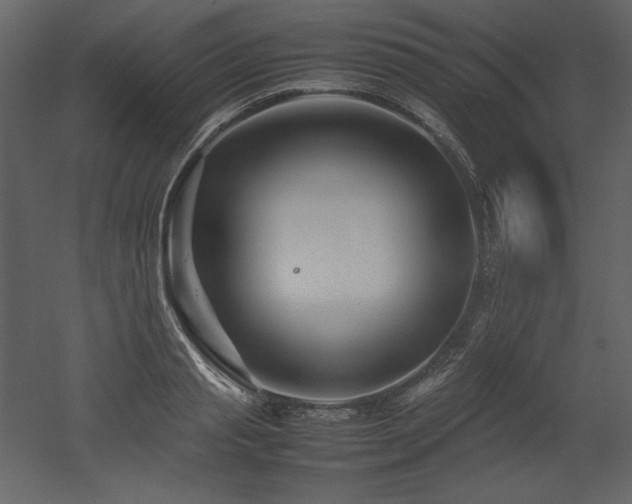 X0000053010845200507081257