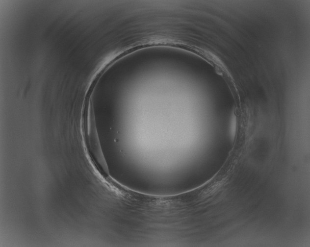 X0000053010847200507081257