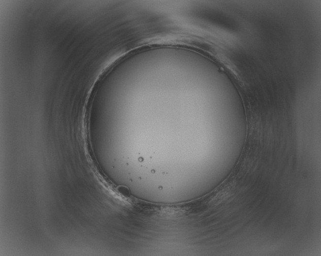 X0000053010848200507081257