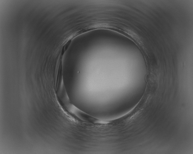 X0000053010849200507081257