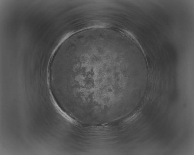 X0000053010851200507081257