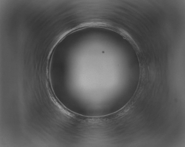 X0000053010852200507081257