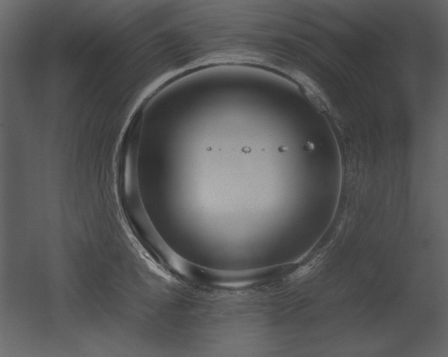 X0000053010854200507081258