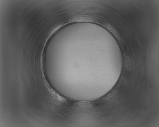 X0000053010856200507081258