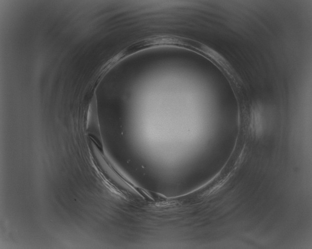 X0000053010857200507081258