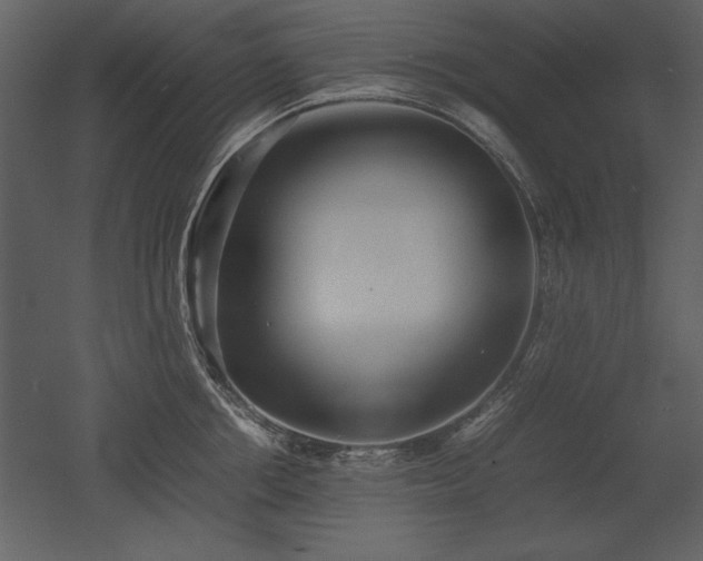 X0000053010858200507081258