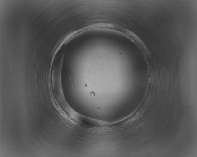X0000053010860200507081258