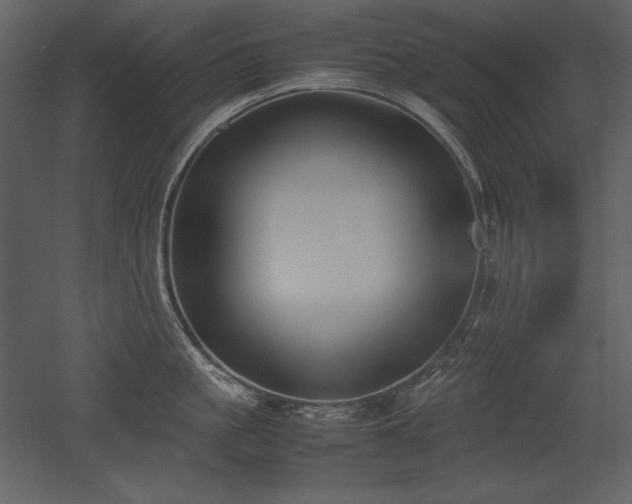 X0000053010861200507081258