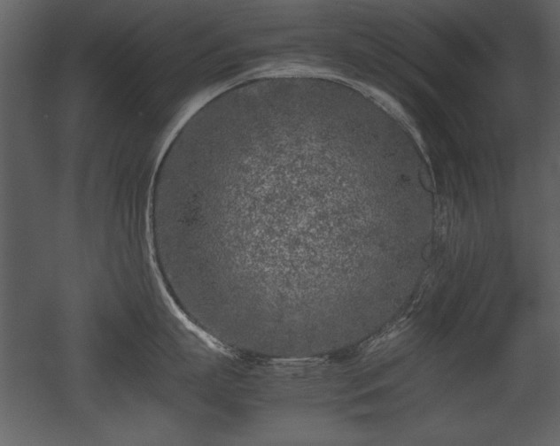 X0000053010863200507081258