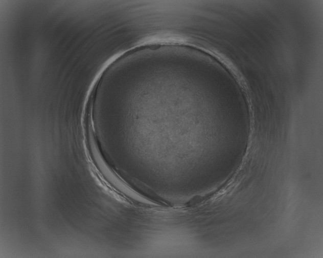 X0000053010864200507081258