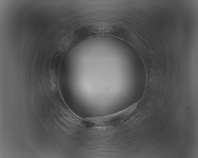 X0000053010866200507081257
