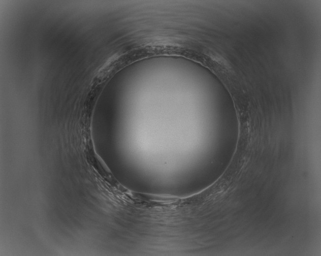 X0000053010870200507081257