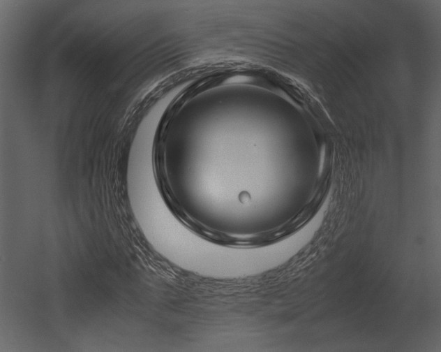 X0000053010871200507081257