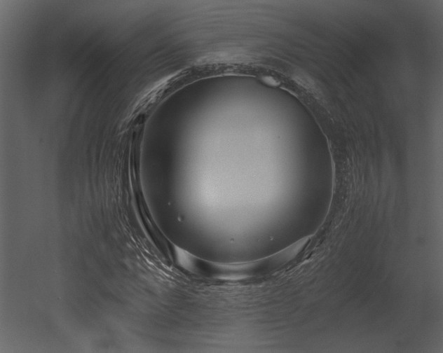 X0000053010872200507081257