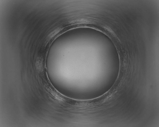 X0000053010873200507081257