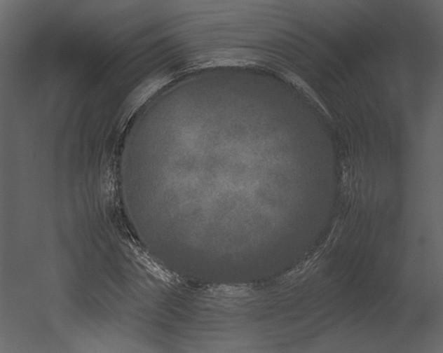 X0000053010874200507081257