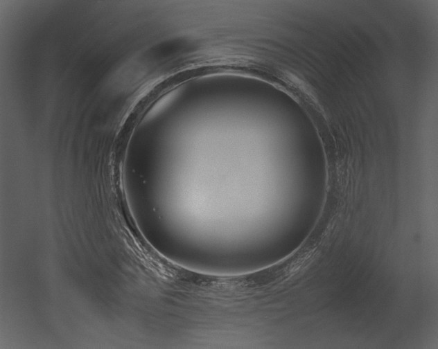 X0000053010875200507081257