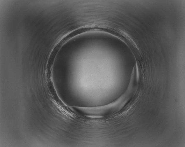 X0000053010876200507081257