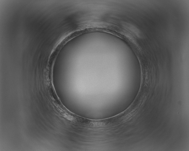X0000053010878200507081257