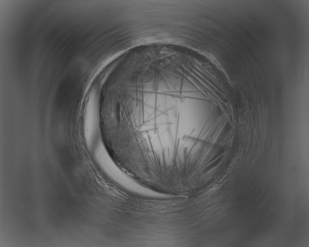 X0000053010879200507081257