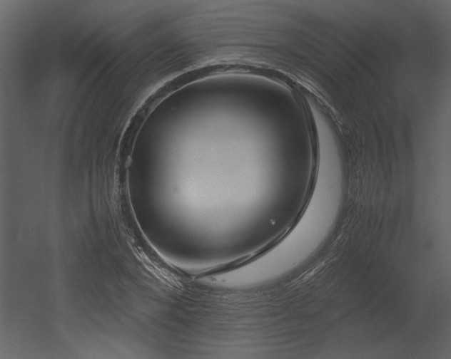 X0000053010880200507081257