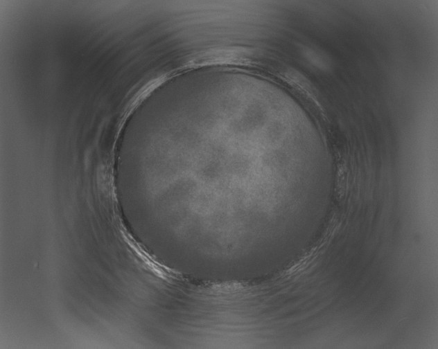 X0000053010882200507081257