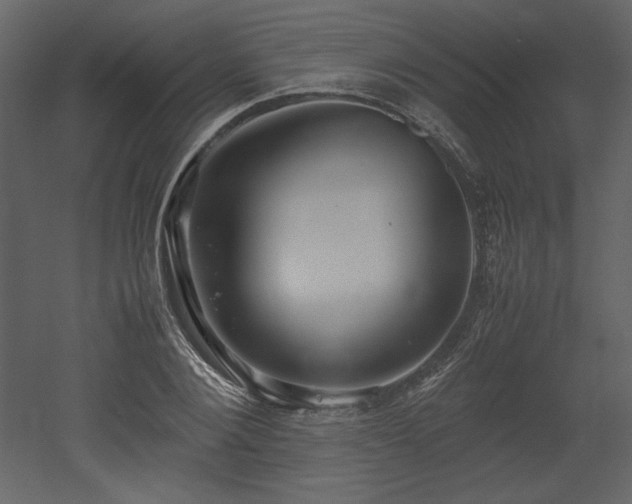 X0000053010884200507081257