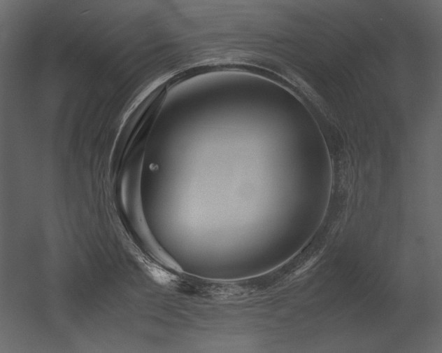 X0000053010885200507081257