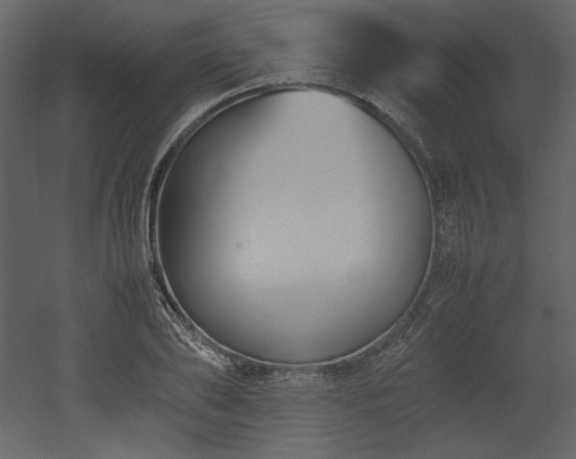 X0000053010886200507081257
