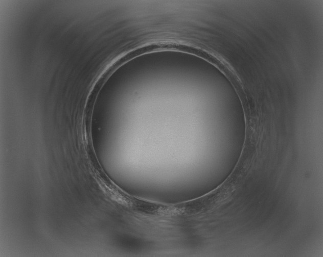 X0000053010887200507081256