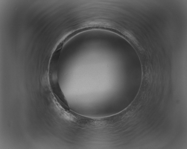 X0000053010888200507081256