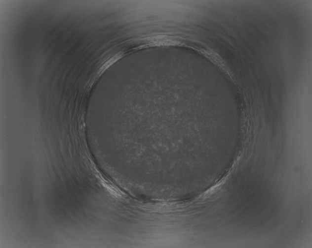 X0000053010889200507081256