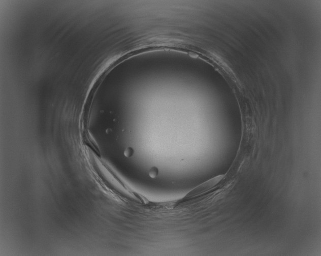 X0000053010891200507081256