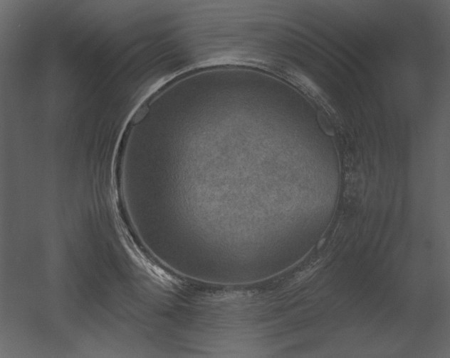 X0000053010892200507081256