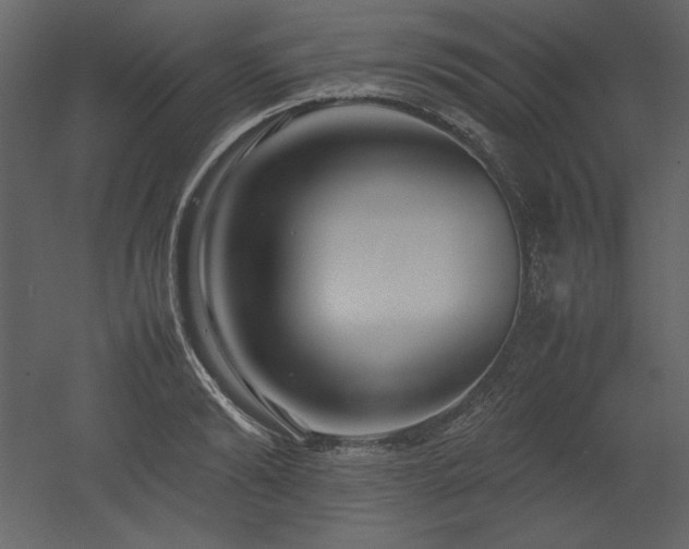X0000053010894200507081256
