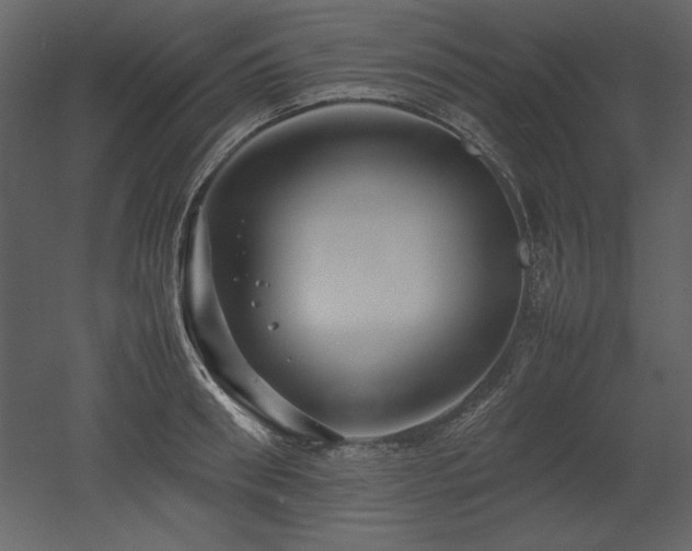 X0000053010898200507081256