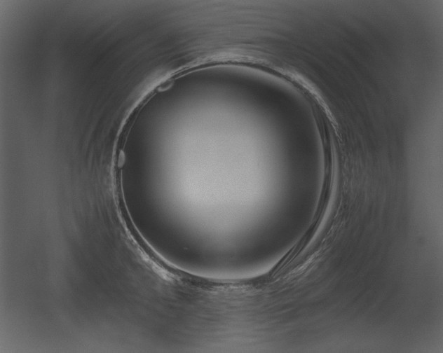 X0000053010902200507081256