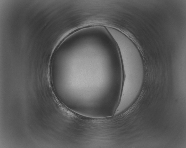 X0000053010904200507081256