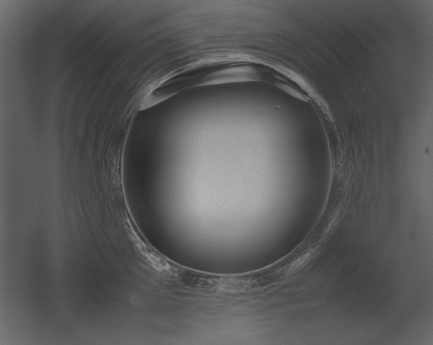 X0000053010905200507081256