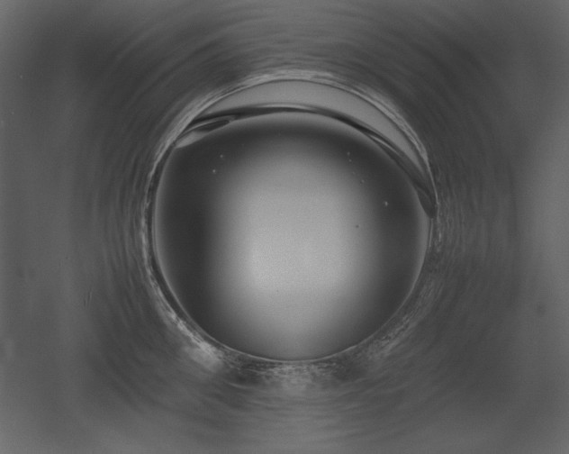 X0000053010906200507081256