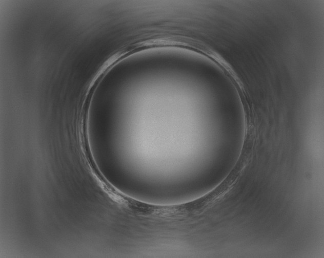 X0000053010909200507081256